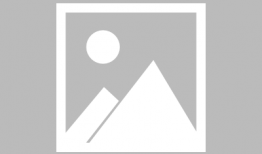 白天鹅视频,自然之美与和谐共生